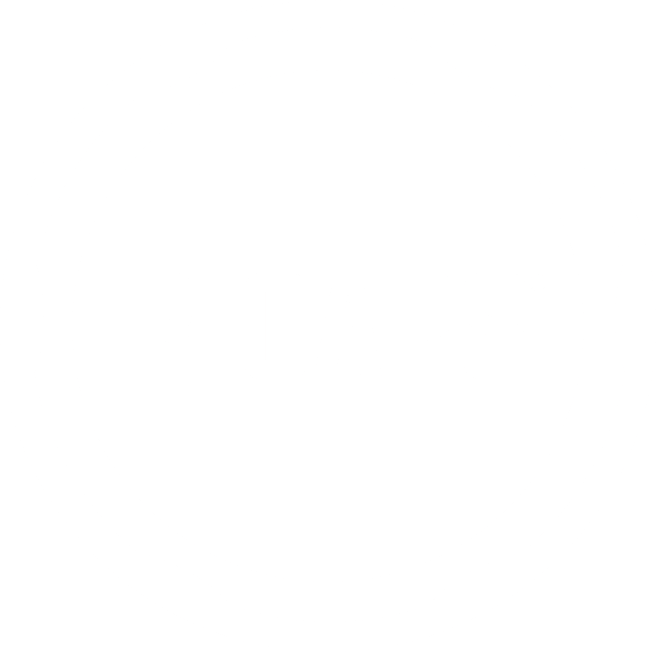 RICAPS Logo